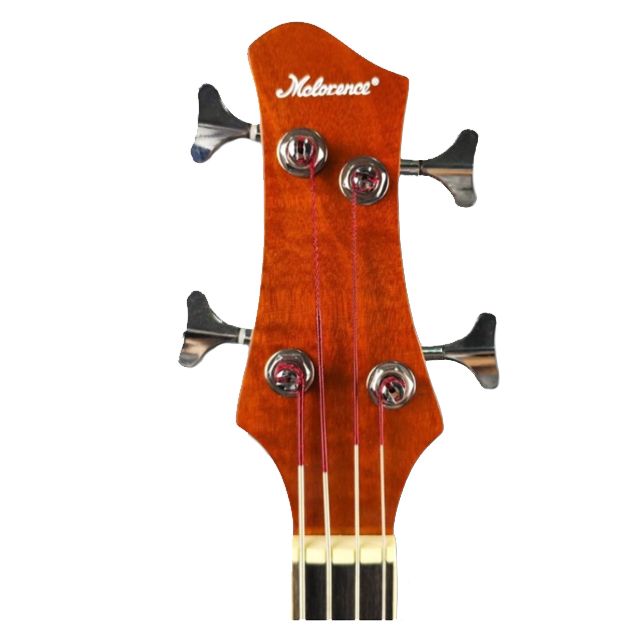 B10 Acoustic Bass 4 Strings  2