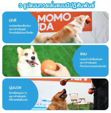 ของเล่นขัดฟันสุนัข รุ่น DT-15L 2