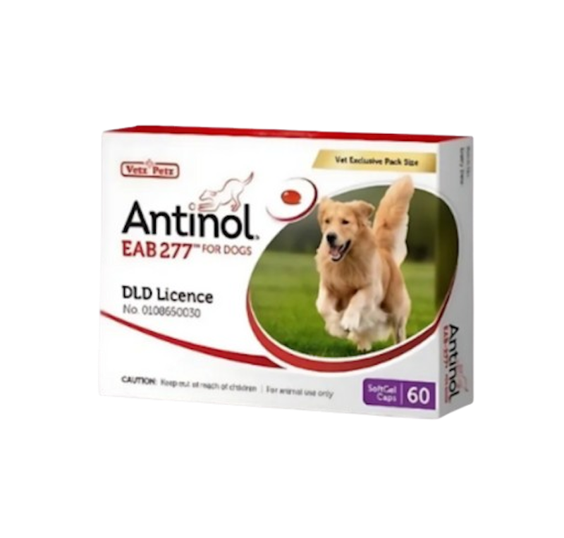 Antinol Dog อาหารเสริมไขมัน บำรุงข้อ สำหรับสุนัข 1