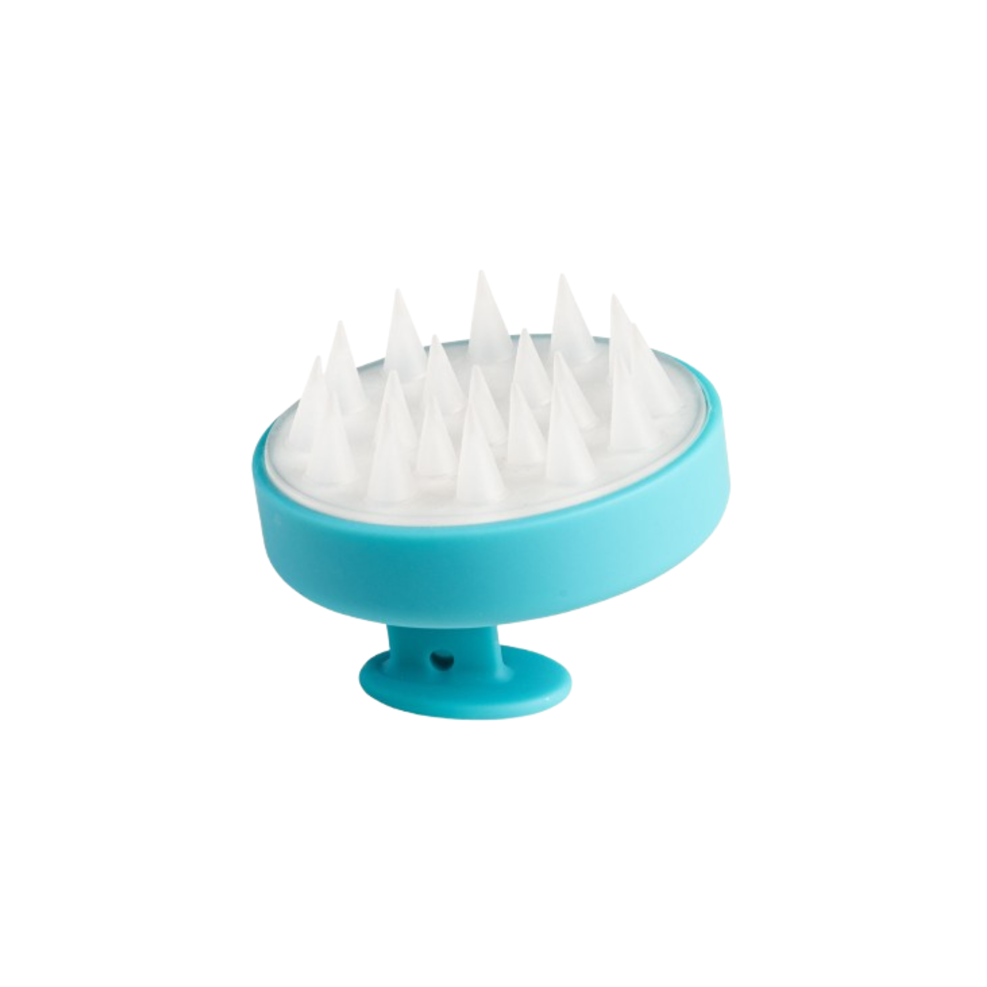 Spa Hair Washer 2