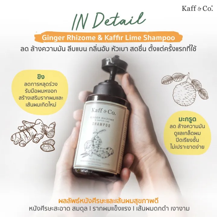 Ginger Rhizome & Kaffir Lime Shampoo  2