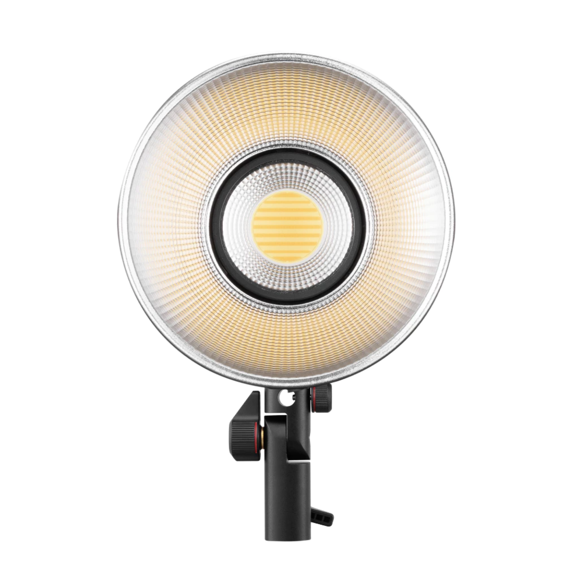 Molus LED Light 2