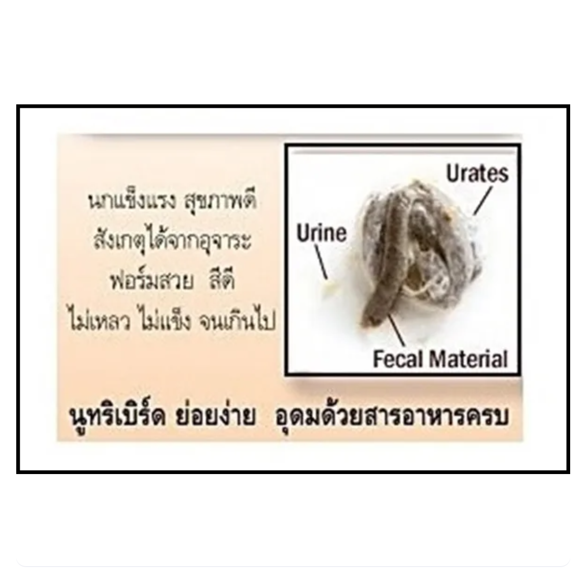 อาหารสำเร็จรูปอัดเม็ด 3