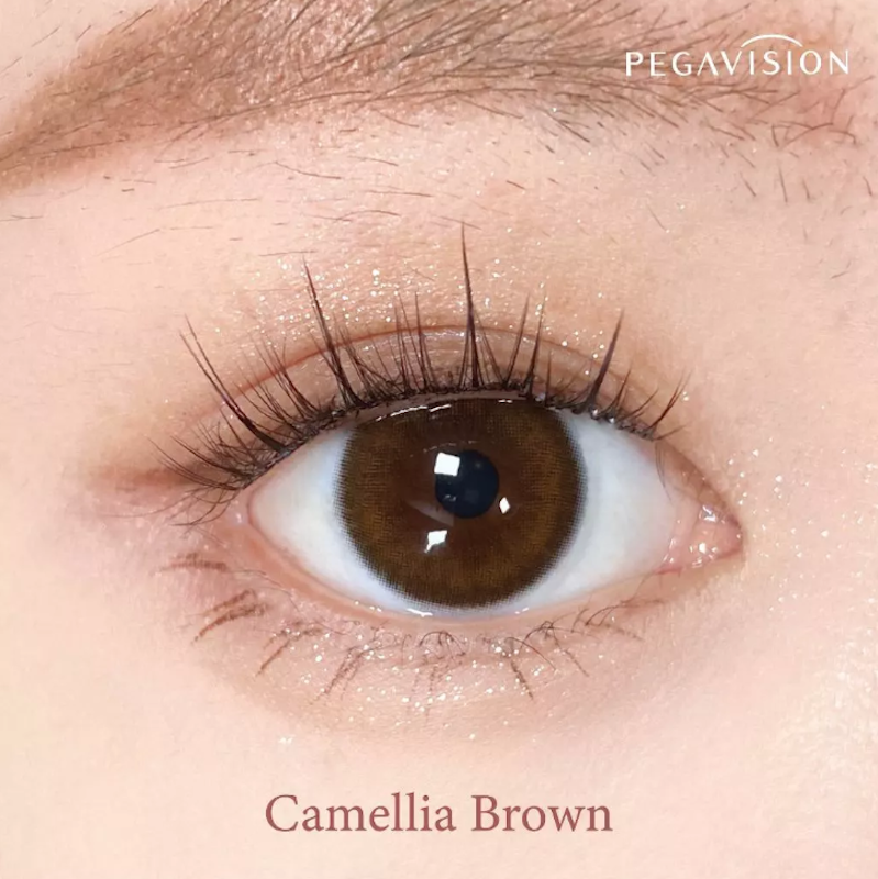 คอนแทคเลนส์สี รายเดือน รุ่น KAORI Camellia Brown 2