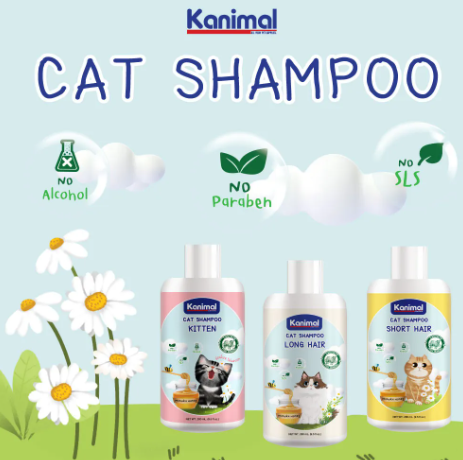 Cat Shampoo Kitten  3