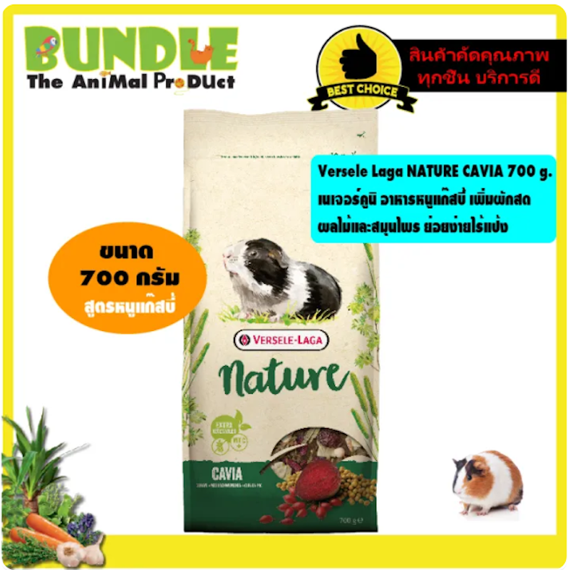 อาหารหนูแกสบี้ NATURE CAVIA 3