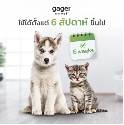 โลชั่นเช็ดหูแมว 3