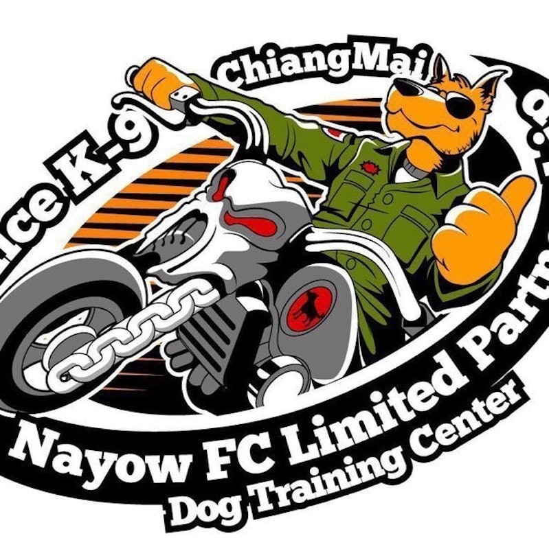 โรงเรียนฝึกสุนัข เชียงใหม่ 1