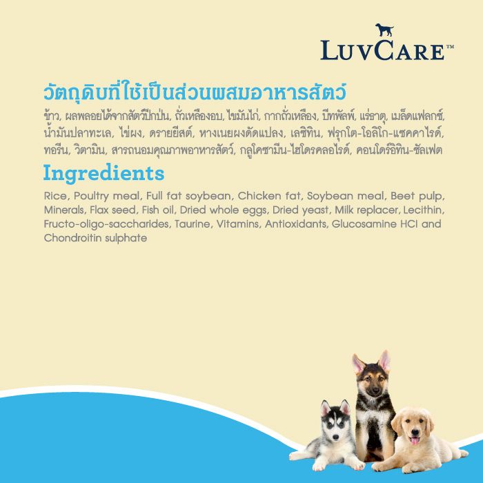 Puppy Large Breed อาหารสุนัข 2