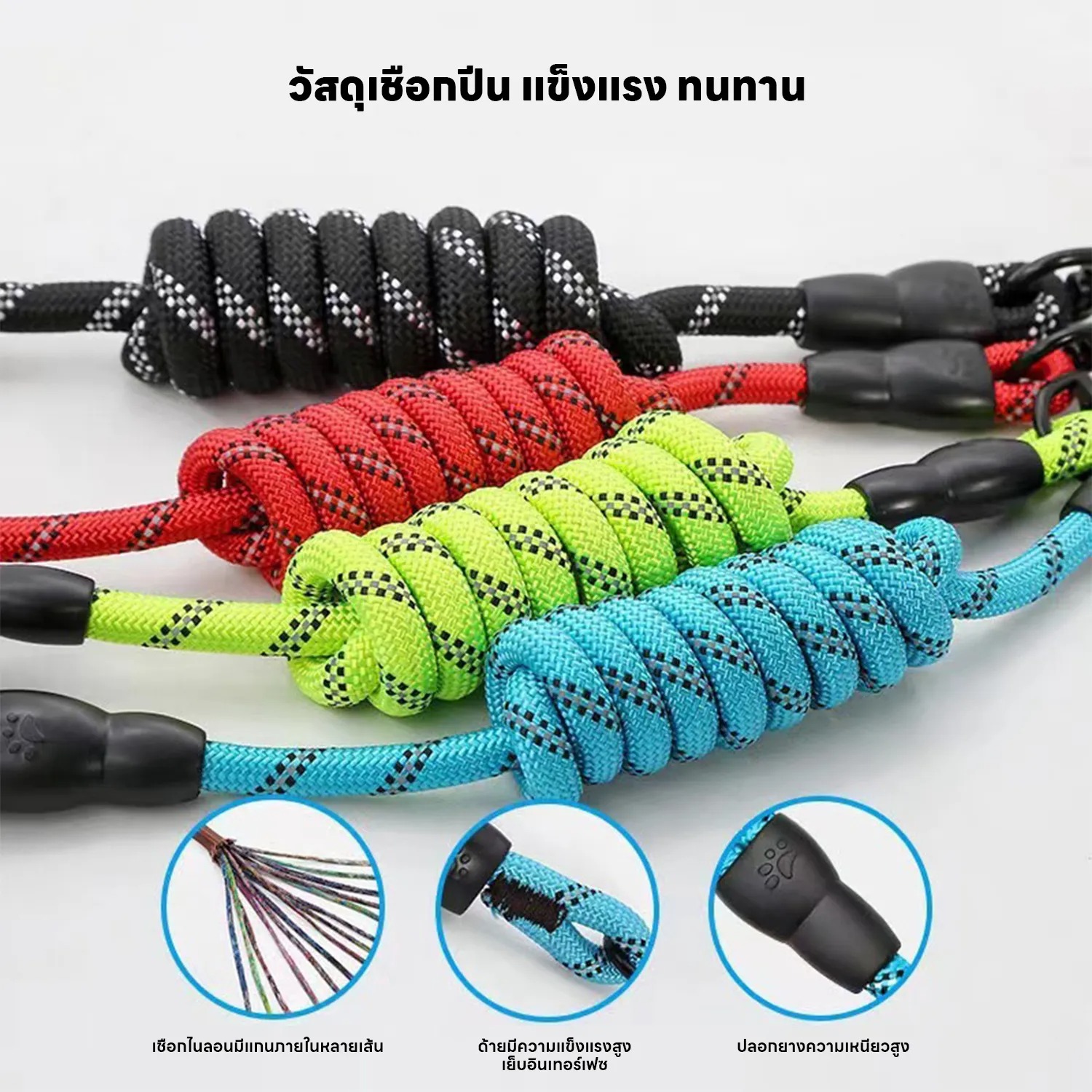 Training Leash 2