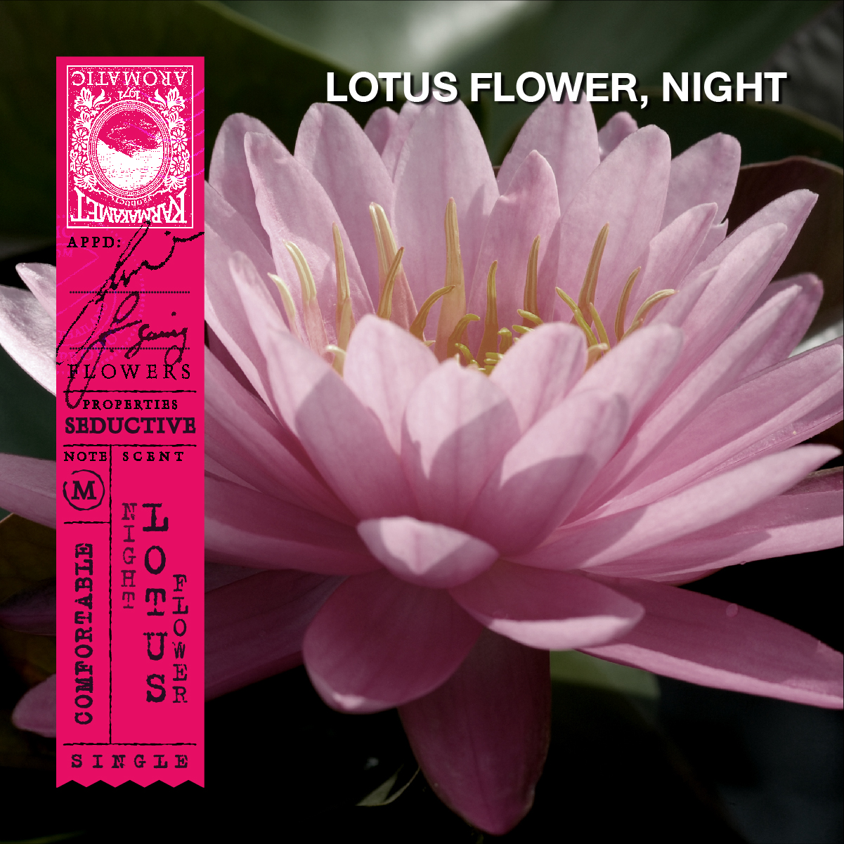 ถุงหอม กลิ่น Night Lotus Flower 3