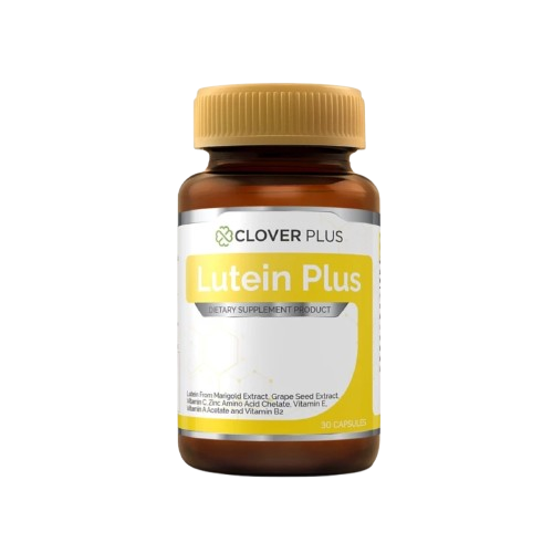 LUTEIN Plus ลูทีนจากดอกดาวเรือง 2
