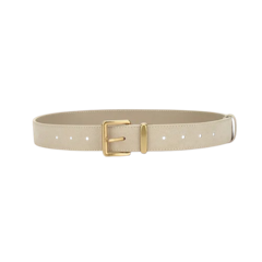 Suede Gold Belt V2