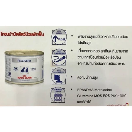 Recovery อาหารสัตว์ป่วย 3