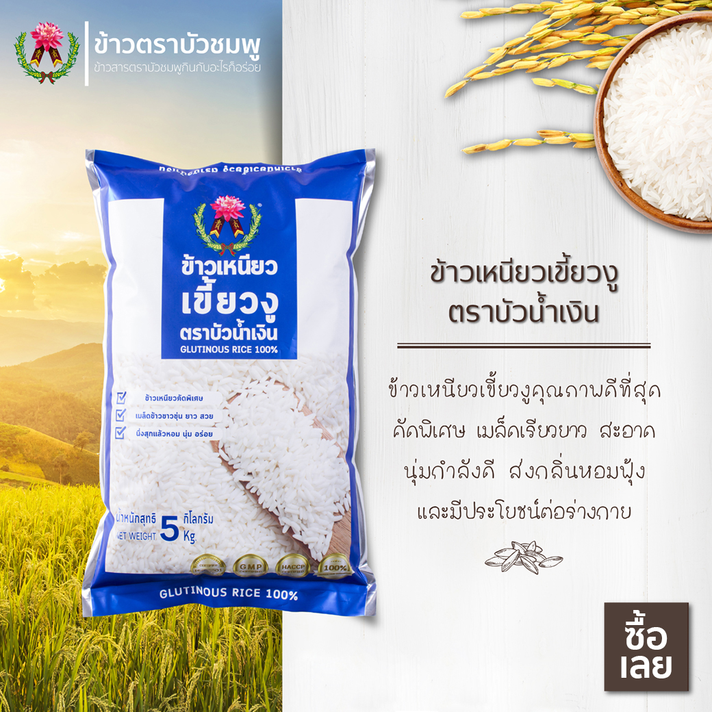 ข้าวเหนียวเขี้ยวงู 2