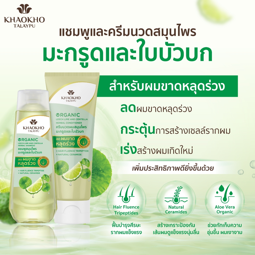 สูตรมะกรูดและใบบัวบก 2