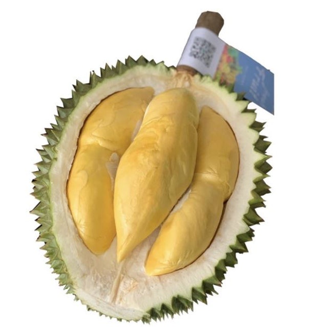 10 ทุเรียนหมอนทอง สั่งออนไลน์ ร้านไหนดี รวมแหล่งดัง จันทบุรี ระยอง 4