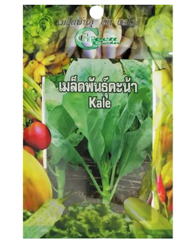 เมล็ดพันธุ์ผักคะน้าใบ 1