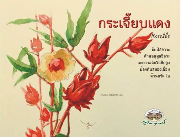 ชาชงกระเจี๊ยบ 2