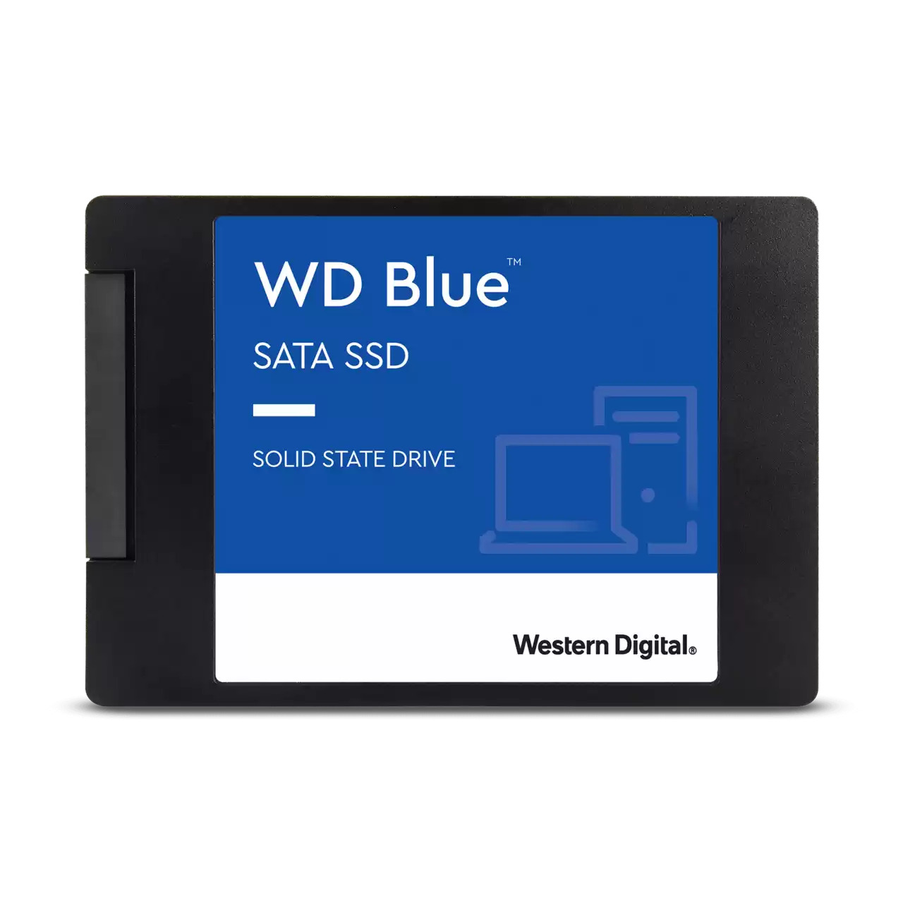 SSD รุ่น WD Blue WDS100T2B0A 1