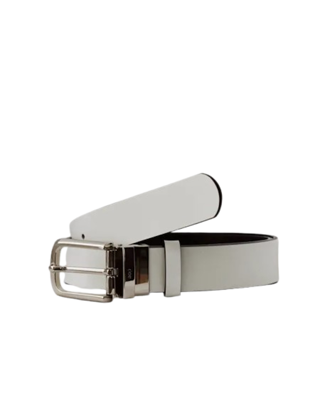Reversible Belt 1