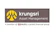 Krungsri Asset Management กองทุน Active Fund กองทุนเปิดกรุงศรีโกลบอลเทคโนโลยีอิควิตี้-สะสมมูลค่า - KFGTECH-A 1