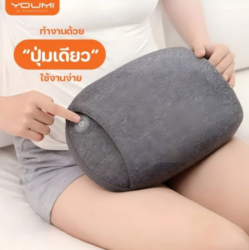 เบาะนวดหลัง 2