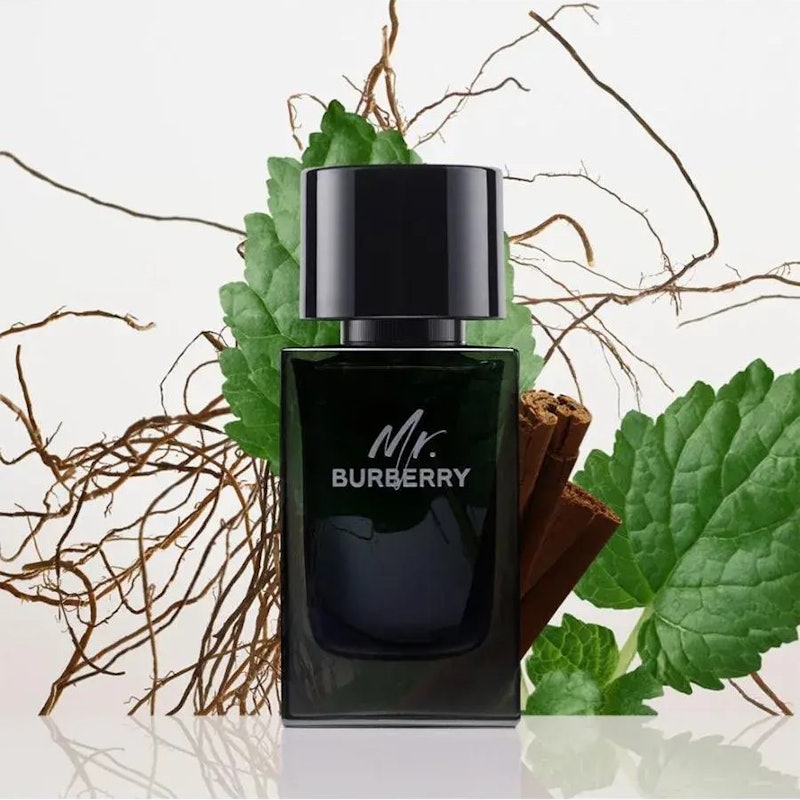 Mr. Burberry EDP 2