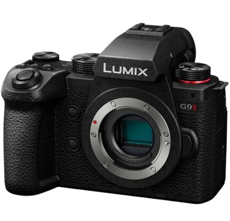 Lumix Mirrorless Camera 1