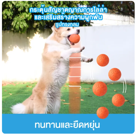 ของเล่นขัดฟันสุนัข รุ่น DT-15L 3