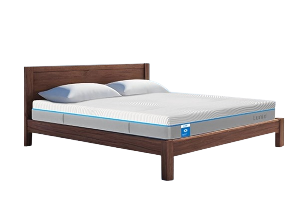 ที่นอนเมมโมรี่โฟม Basics รุ่น IceMax  1