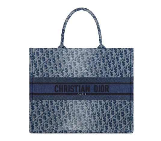 Dior Book Tote  4