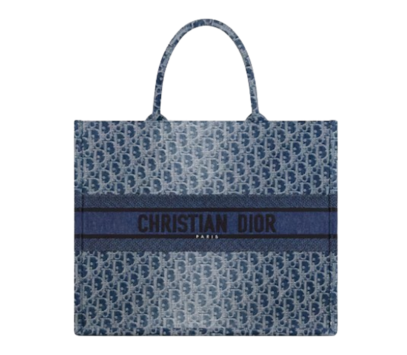 Dior Book Tote 4