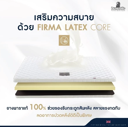 Firma Latex I 4