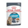 Royal Canin Urinary Care Pouch Gravy 1