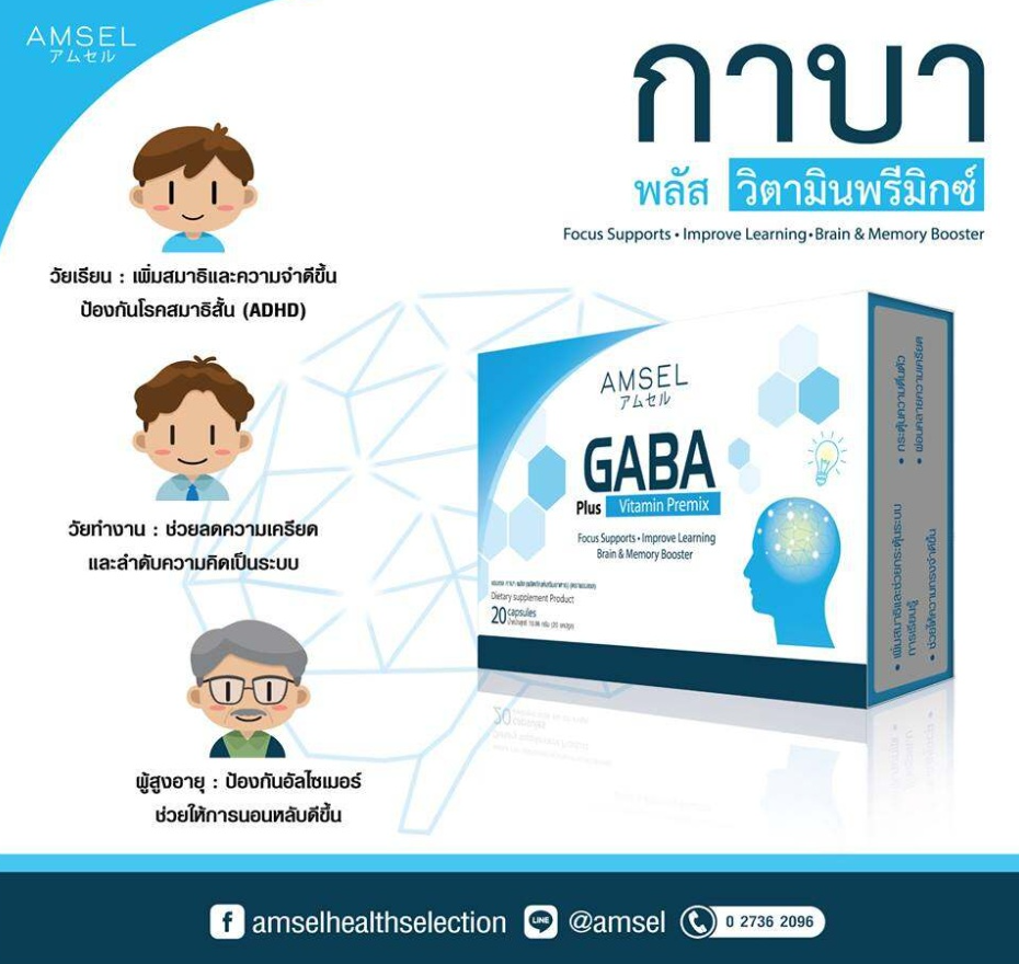 GABA Plus Vitamin Premix 2