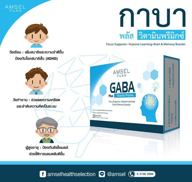 GABA Plus Vitamin Premix 2