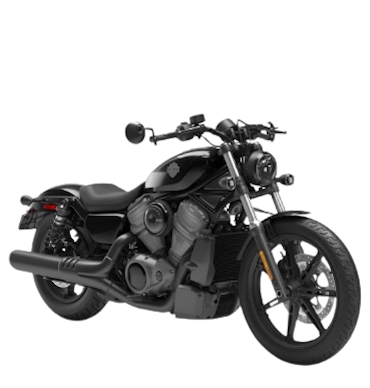 Harley-Davidson NIGHTSTER 1
