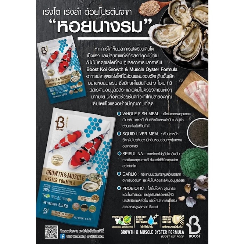 Koi Growth & Muscle Oyster Formula 3