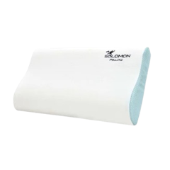 หมอนเมมโมรี่โฟม รุ่น Planet Pillow