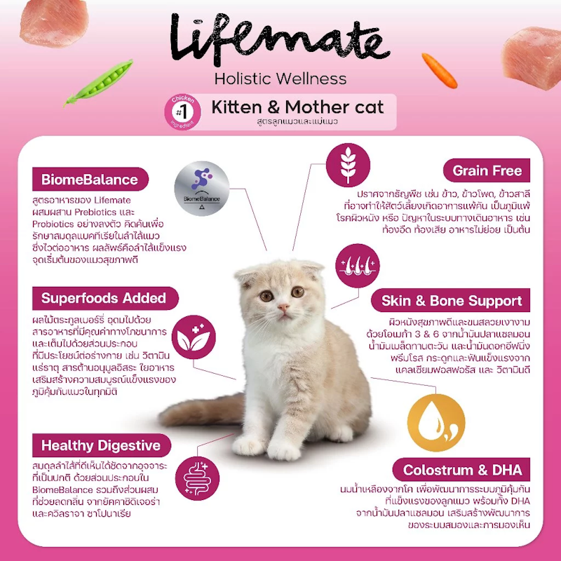 Grain Free Kitten & Mother 3