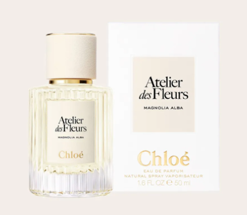 Atelier Des Fleurs Magnolia Alba 3