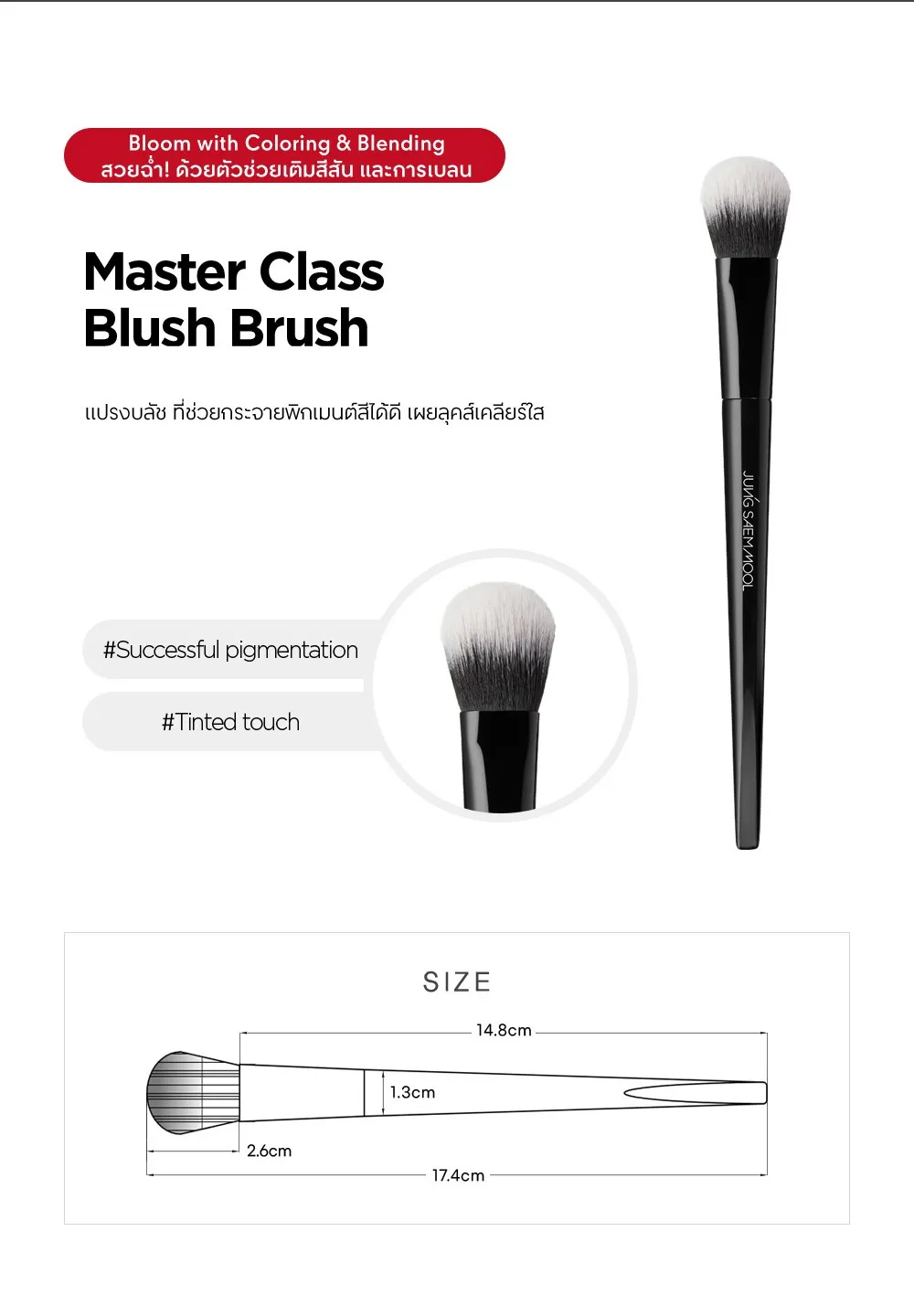 Masterclass Blush Brush  3