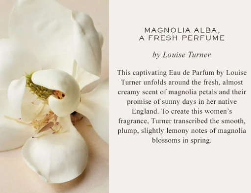 Atelier Des Fleurs Magnolia Alba 2
