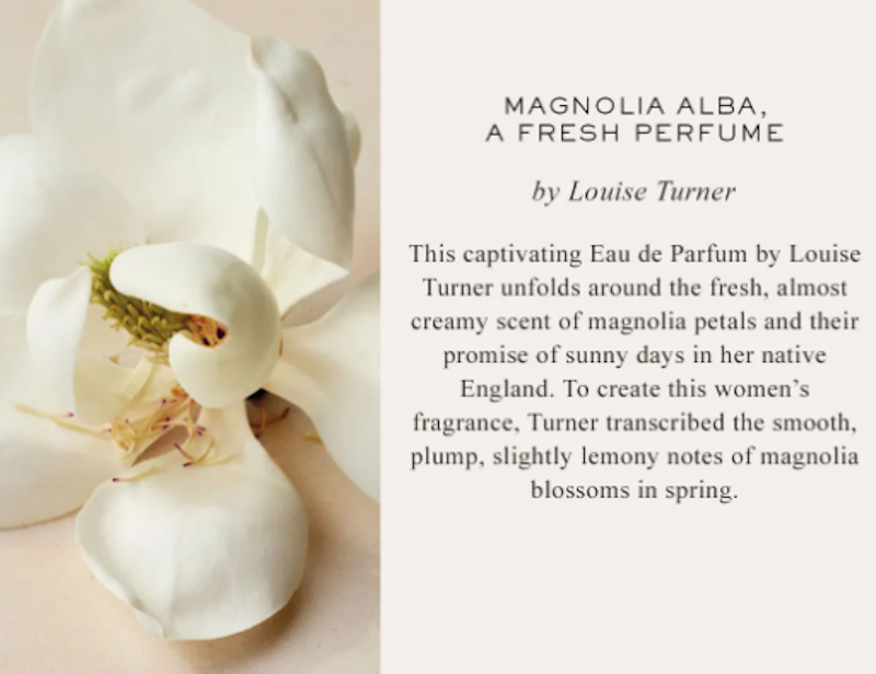 Atelier Des Fleurs Magnolia Alba 2