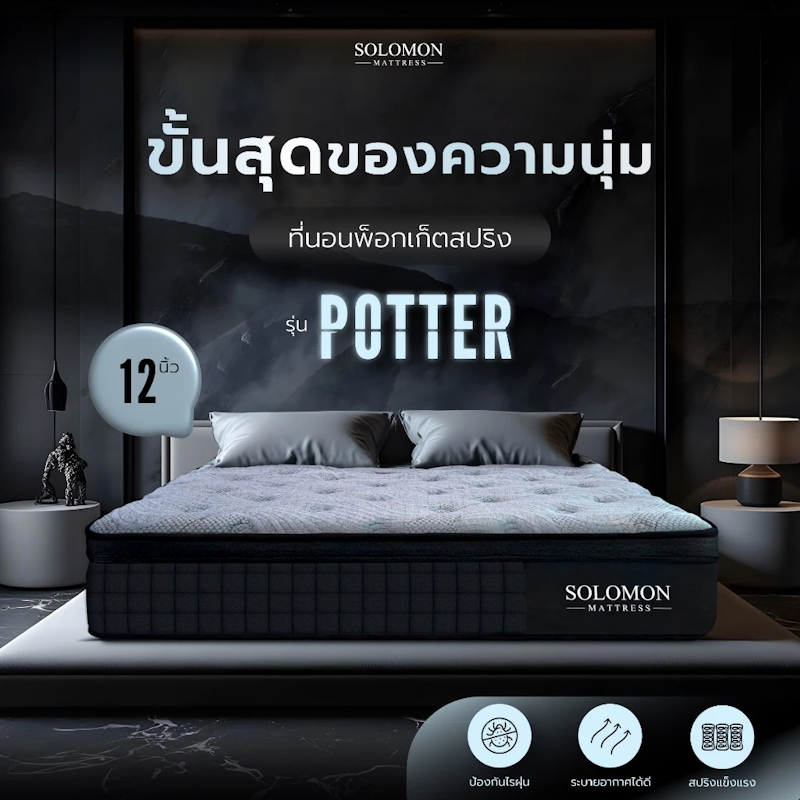 ที่นอนพ็อกเก็ตสปริง รุ่น POTTER 2