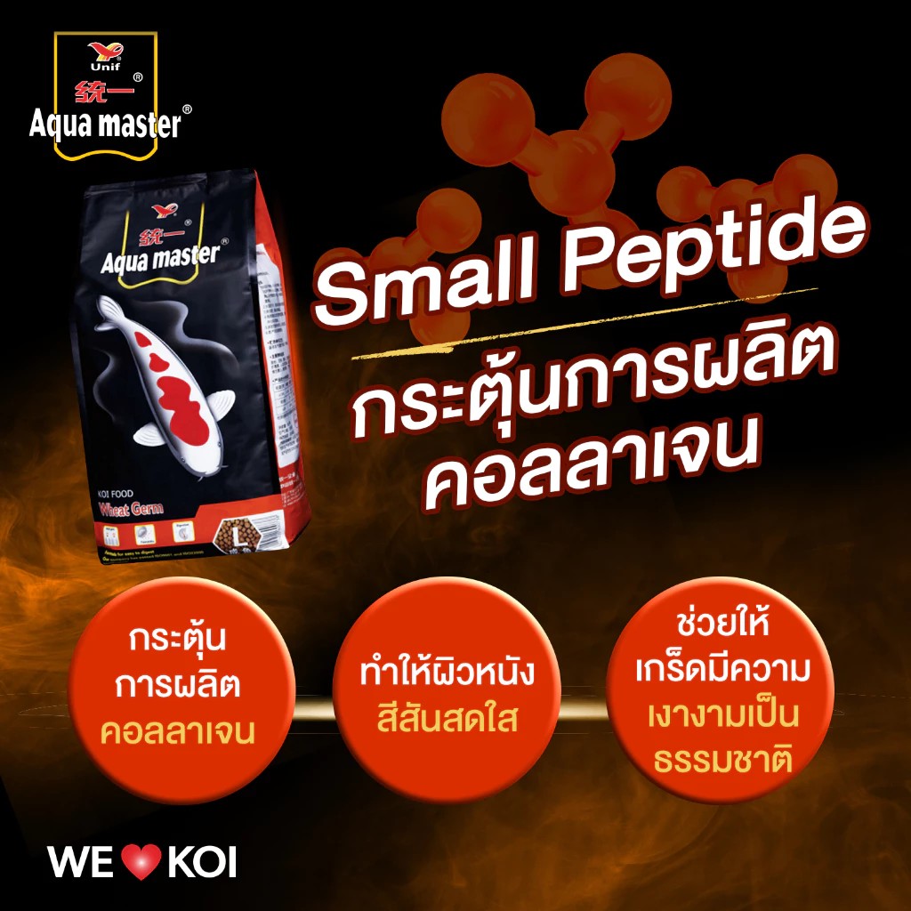 อาหารปลาคาร์ฟ Wheat Germ 3