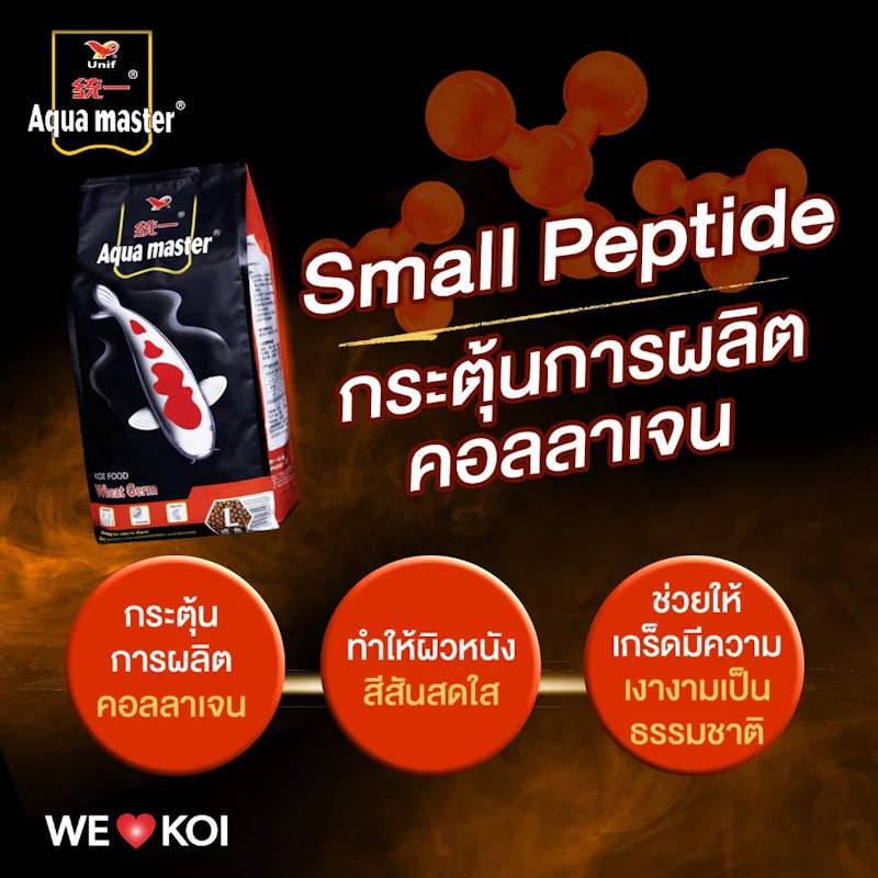 อาหารปลาคาร์ฟ Wheat Germ 3