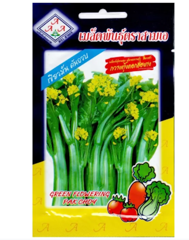 เมล็ดพันธุ์ผักกวางตุ้งดอกฮ่องกง 2
