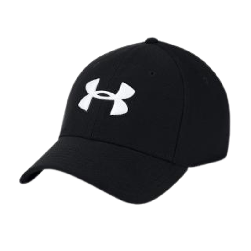 UA Men's Blitzing 3.0 Cap 1